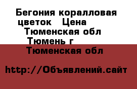 Бегония коралловая цветок › Цена ­ 100 - Тюменская обл., Тюмень г.  »    . Тюменская обл.